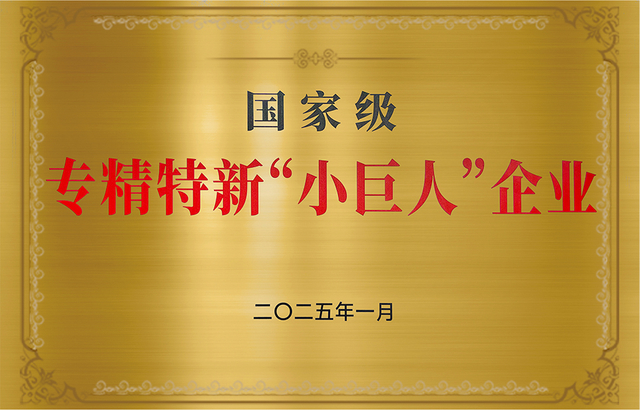 مؤسسة عملاقة صغيرة جديدة